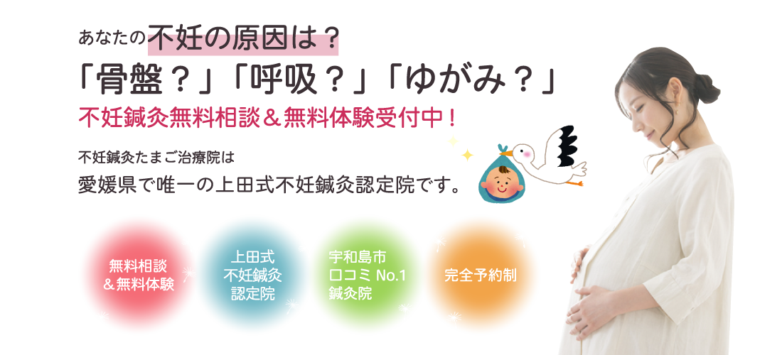 諦めるのはまだ早い。科学的根拠に基づく不妊鍼灸であなたの妊娠力を最大限に。PCOS、体外受精で結果が出なかった方もご相談ください。愛媛で高い実績（妊娠率5-6割）